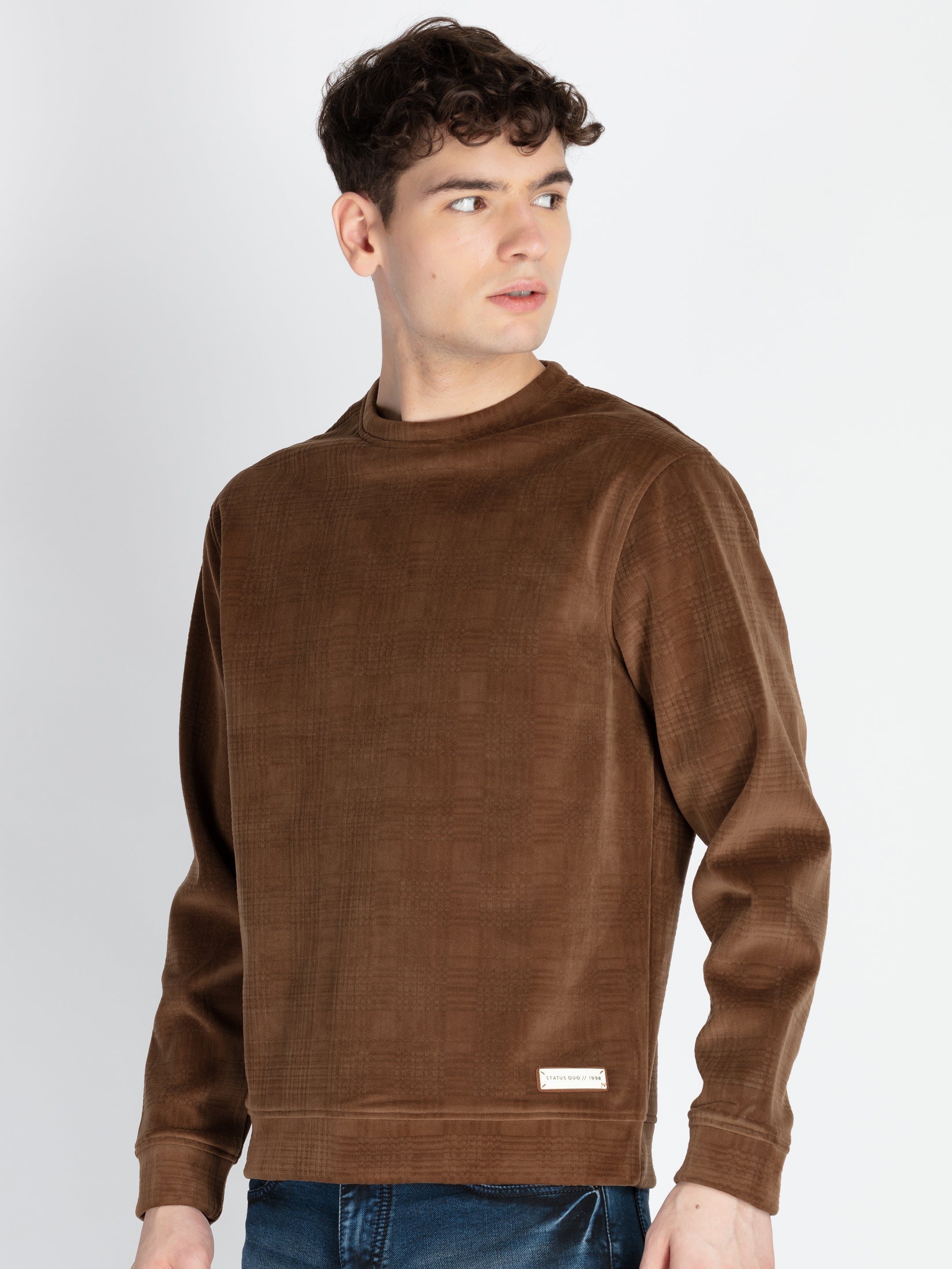 Mens Solid Round Neck Lightweight Sweatshirt