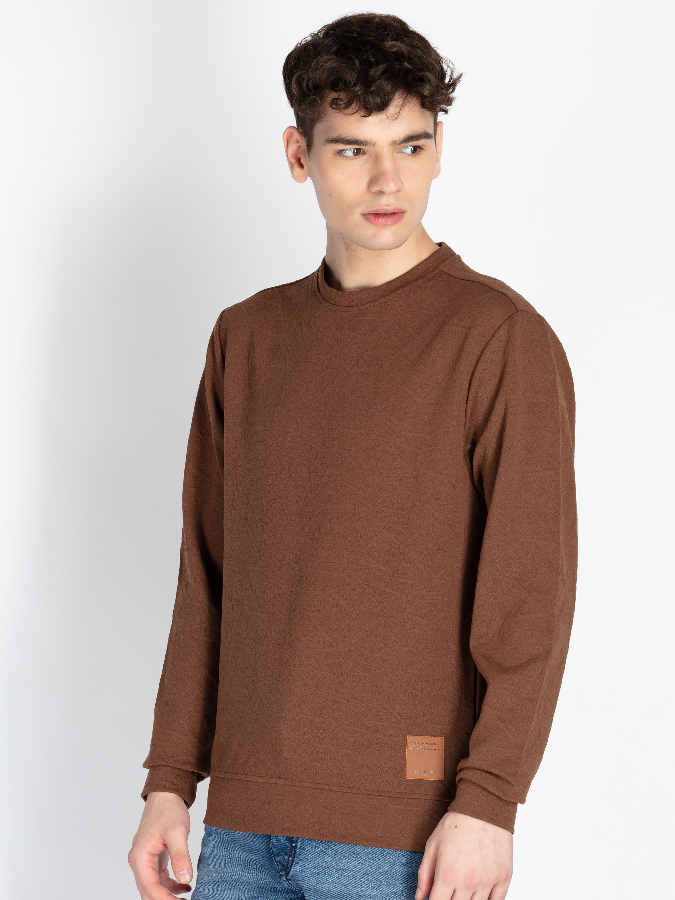 Mens Solid Round Neck Lightweight Sweatshirt Secondary image
