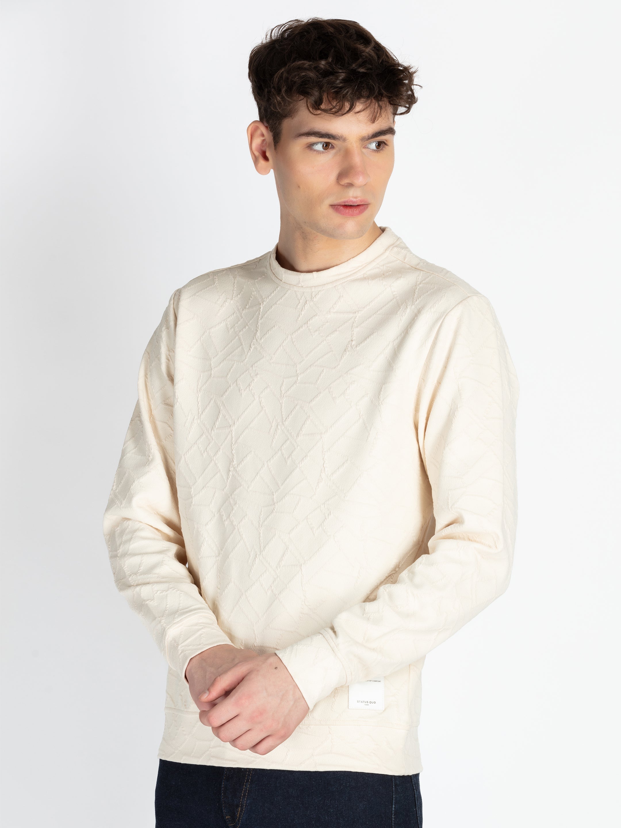 Mens Solid Round Neck Lightweight Sweatshirt Secondary image