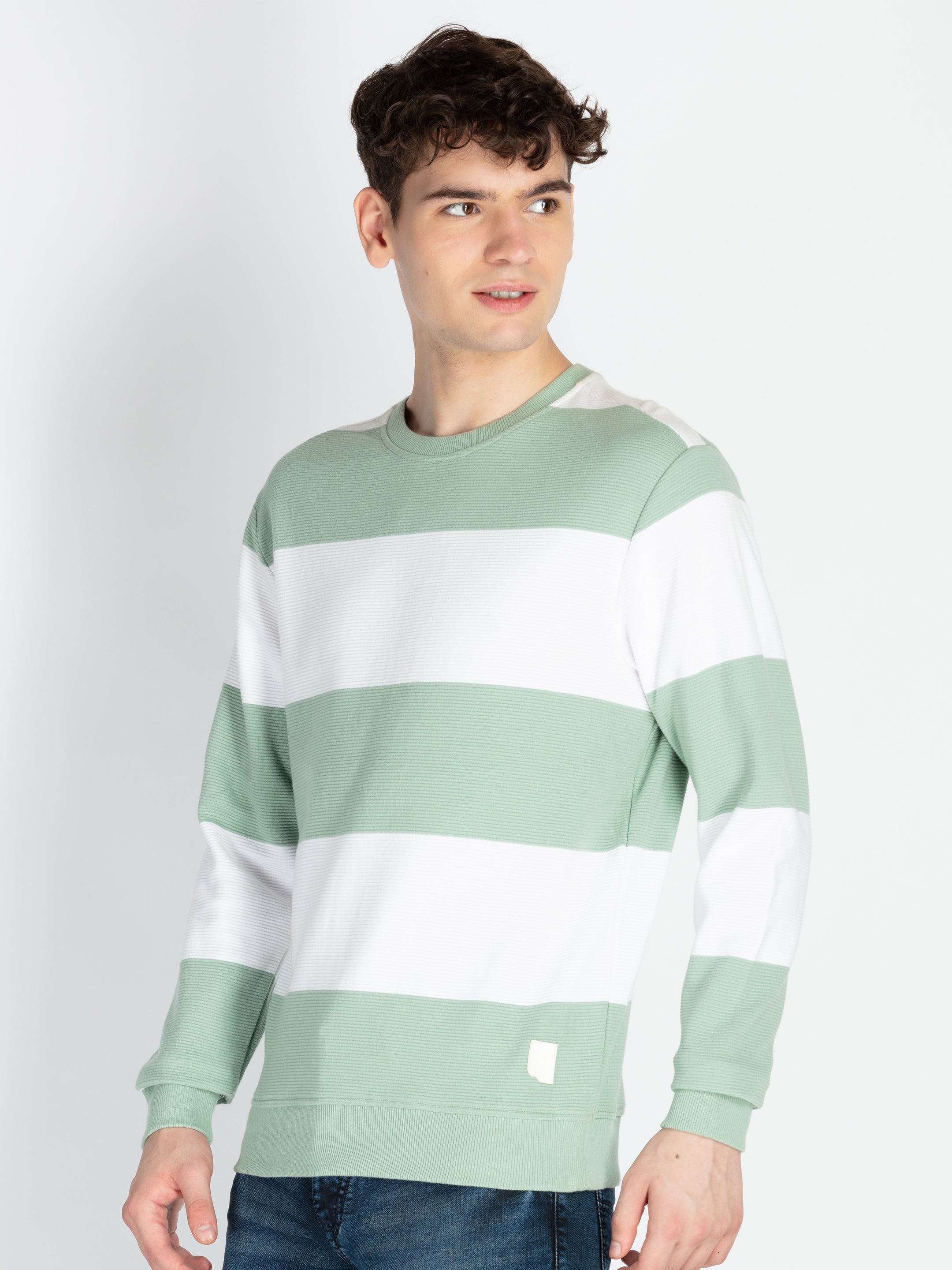 Mens Striped Round Neck Lightweight Sweatshirt Secondary image