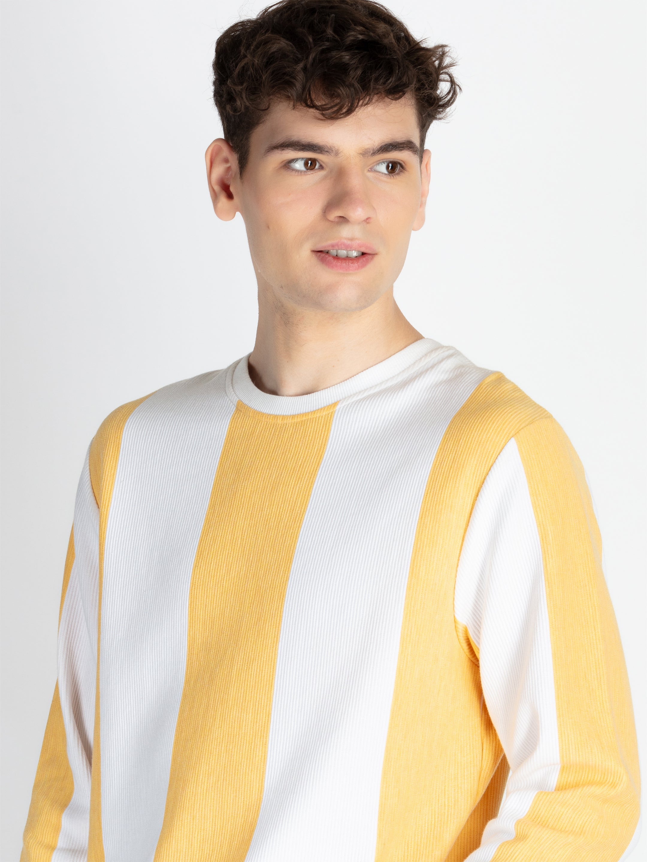 Mens Striped Round Neck Lightweight Sweatshirt