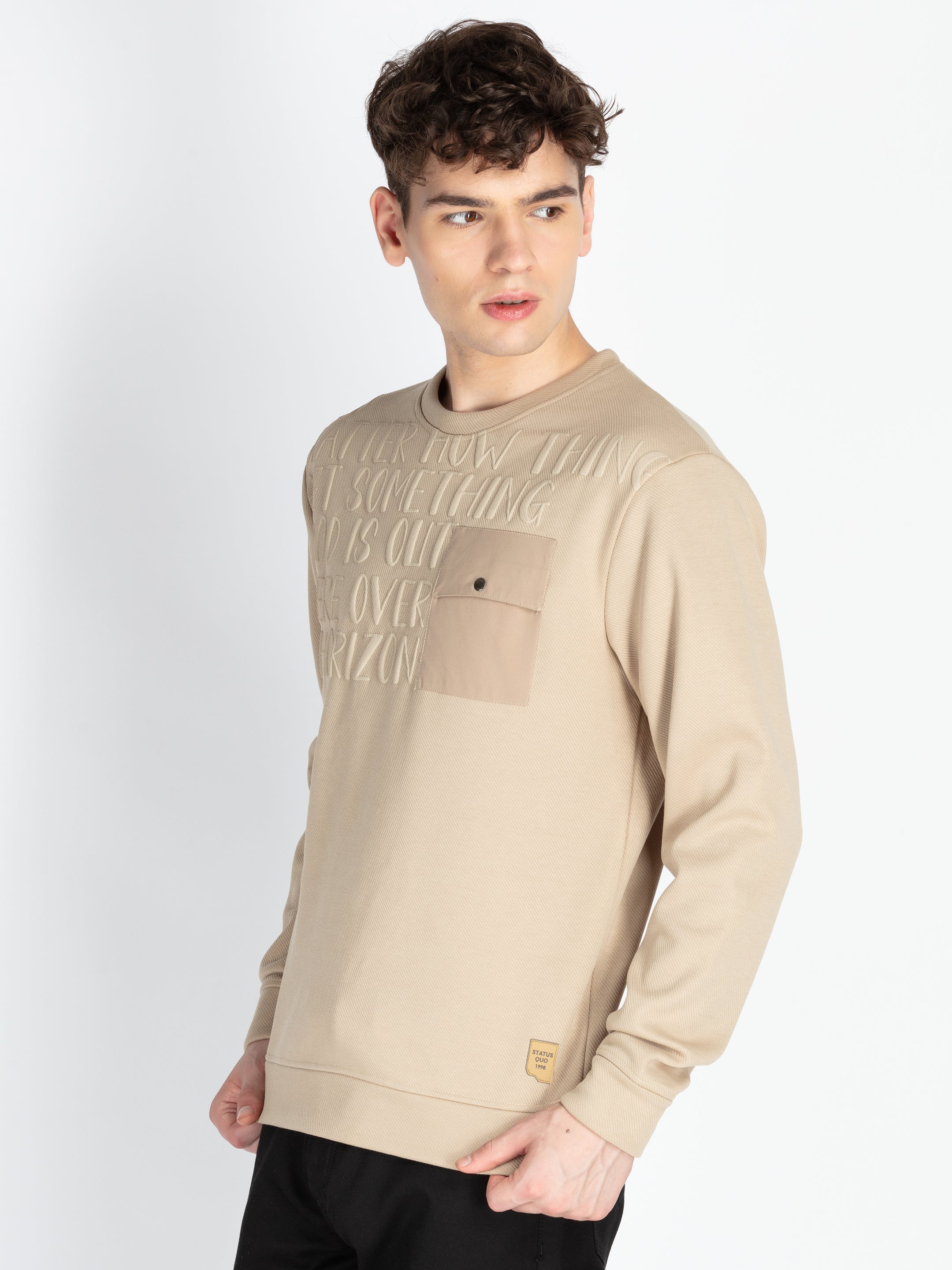 Mens Solid Round Neck Lightweight Sweatshirt Secondary image