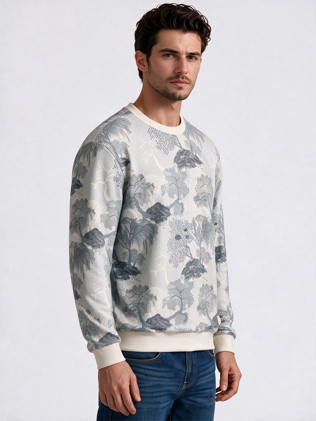 Solid Regular Fit Round Neck Long Sleeve Sweatshirt