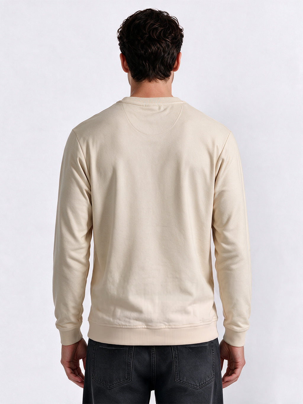 Solid Regular Fit Round Neck Long Sleeve Sweatshirt