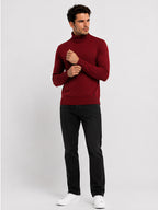 Mens Solid High Neck Sweater