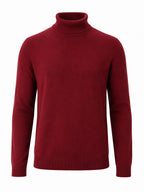 Mens Solid High Neck Sweater