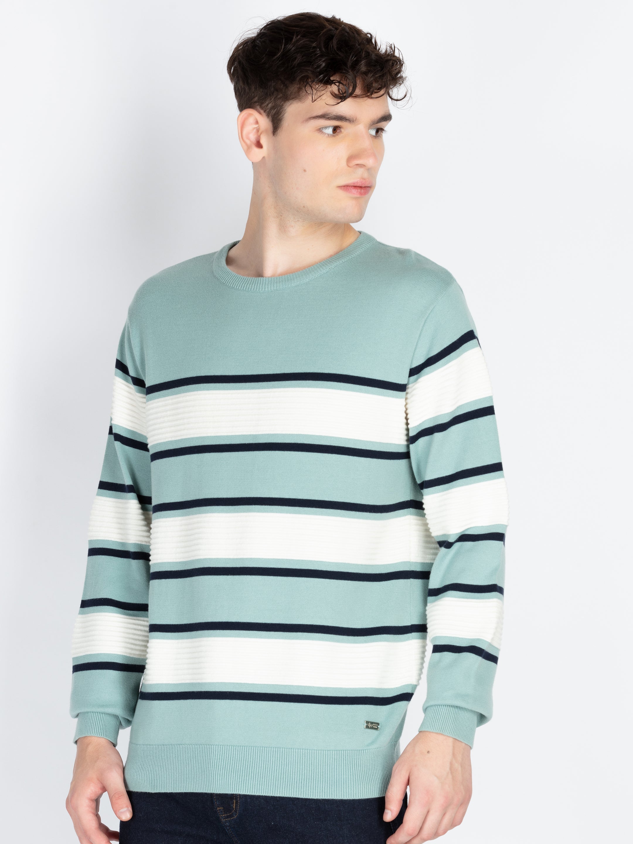 Mens Striped Sweater Secondary image