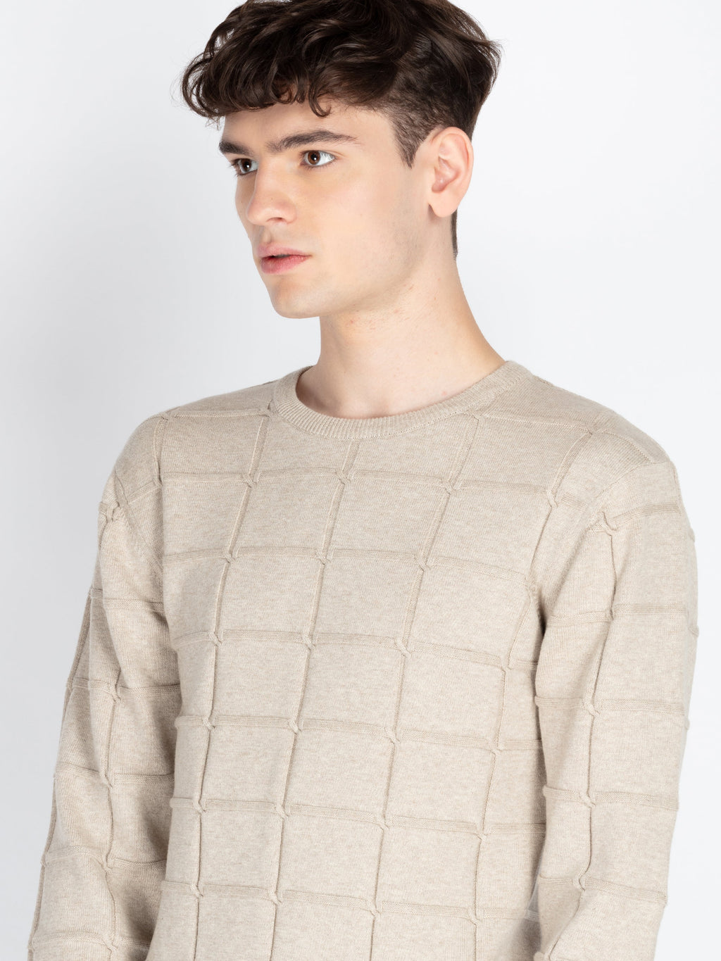 Mens Textured Sweater