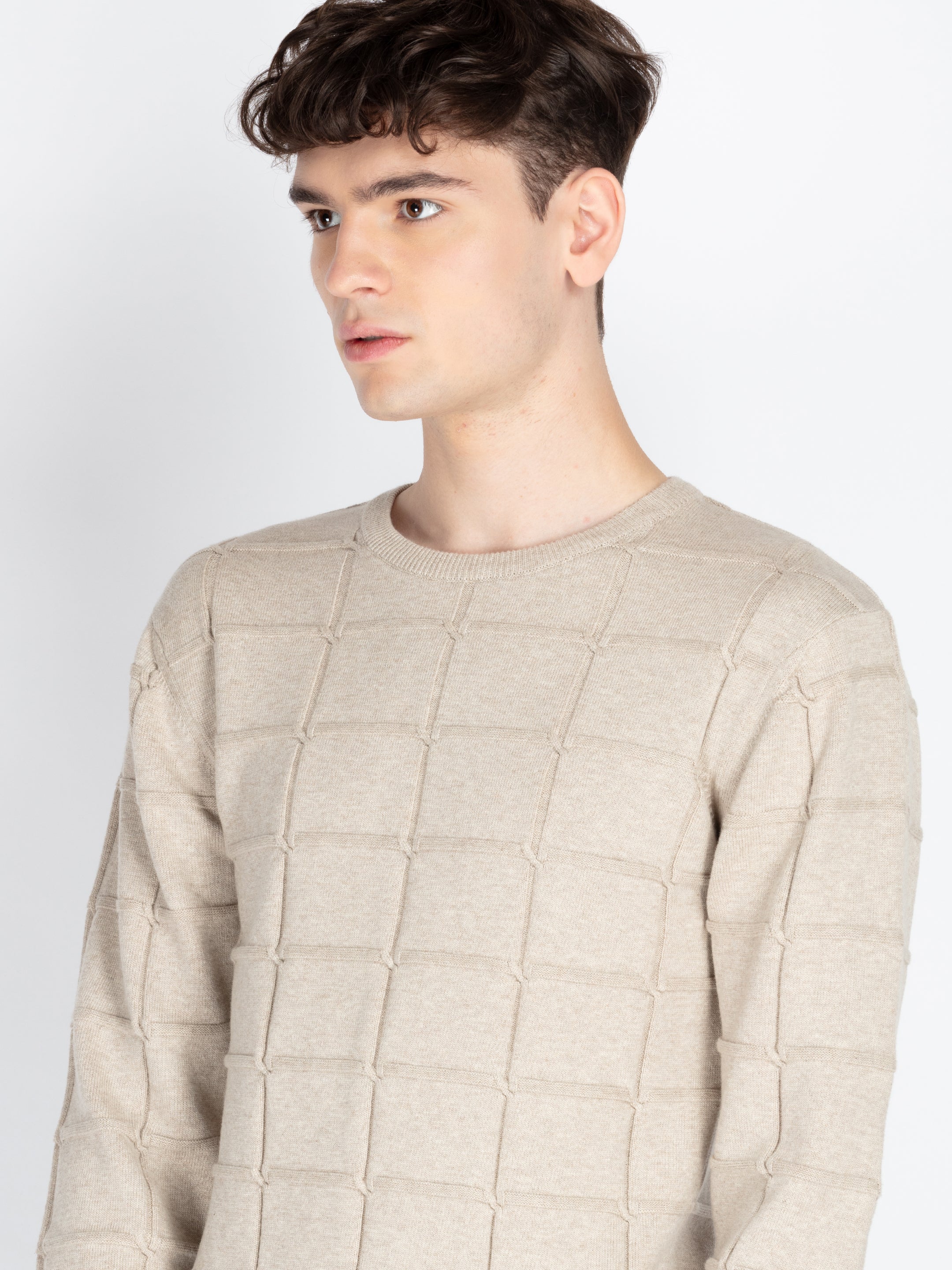 Mens Textured Sweater