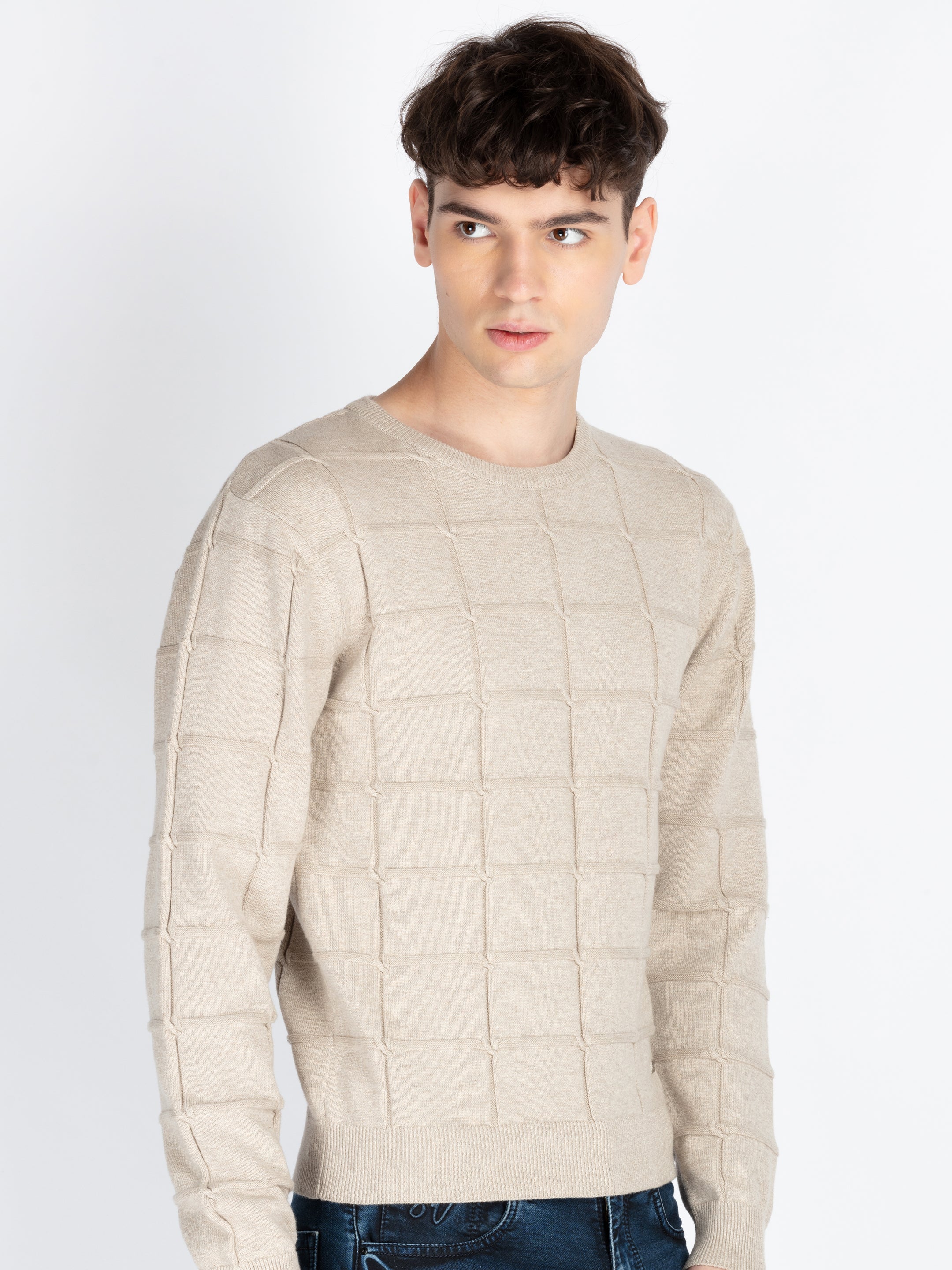 Mens Textured Sweater Secondary image