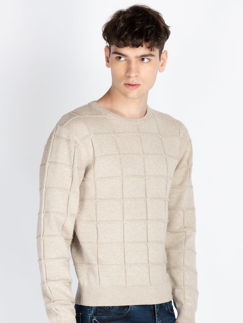 Mens Textured Sweater