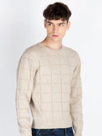 Mens Textured Sweater