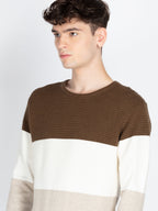 Mens Striped Sweater