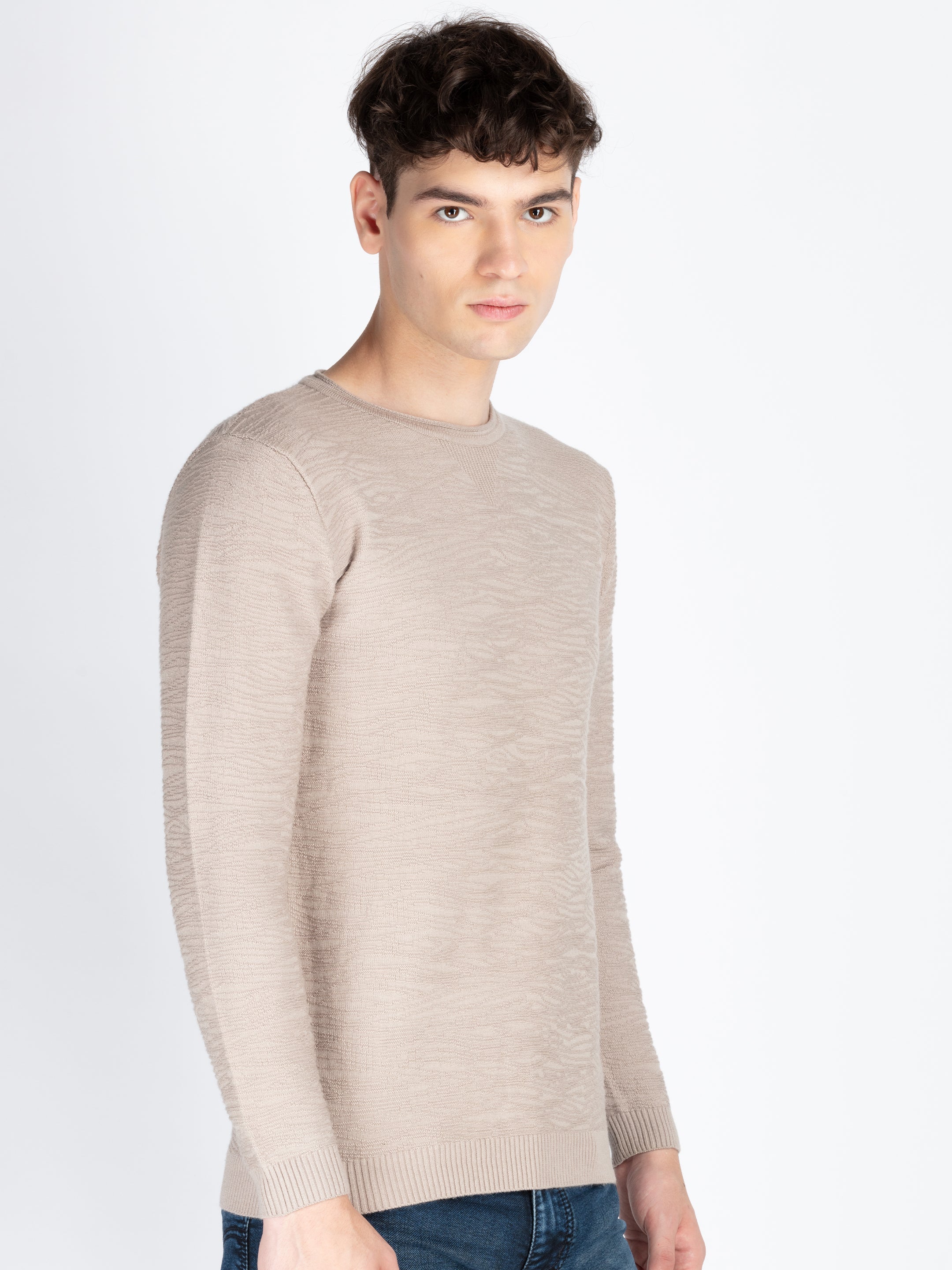 Mens Textured Sweater Secondary image