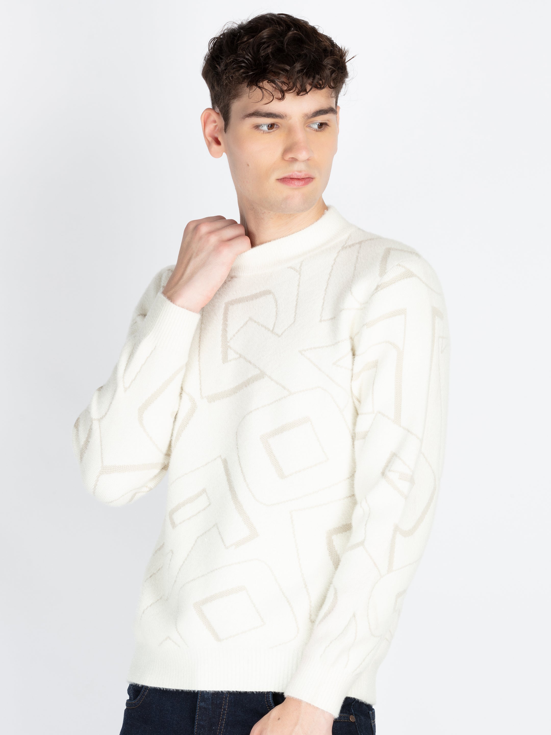Mens Self Design Jacquard Sweater Secondary image