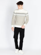 Mens Self Design Jacquard Sweater