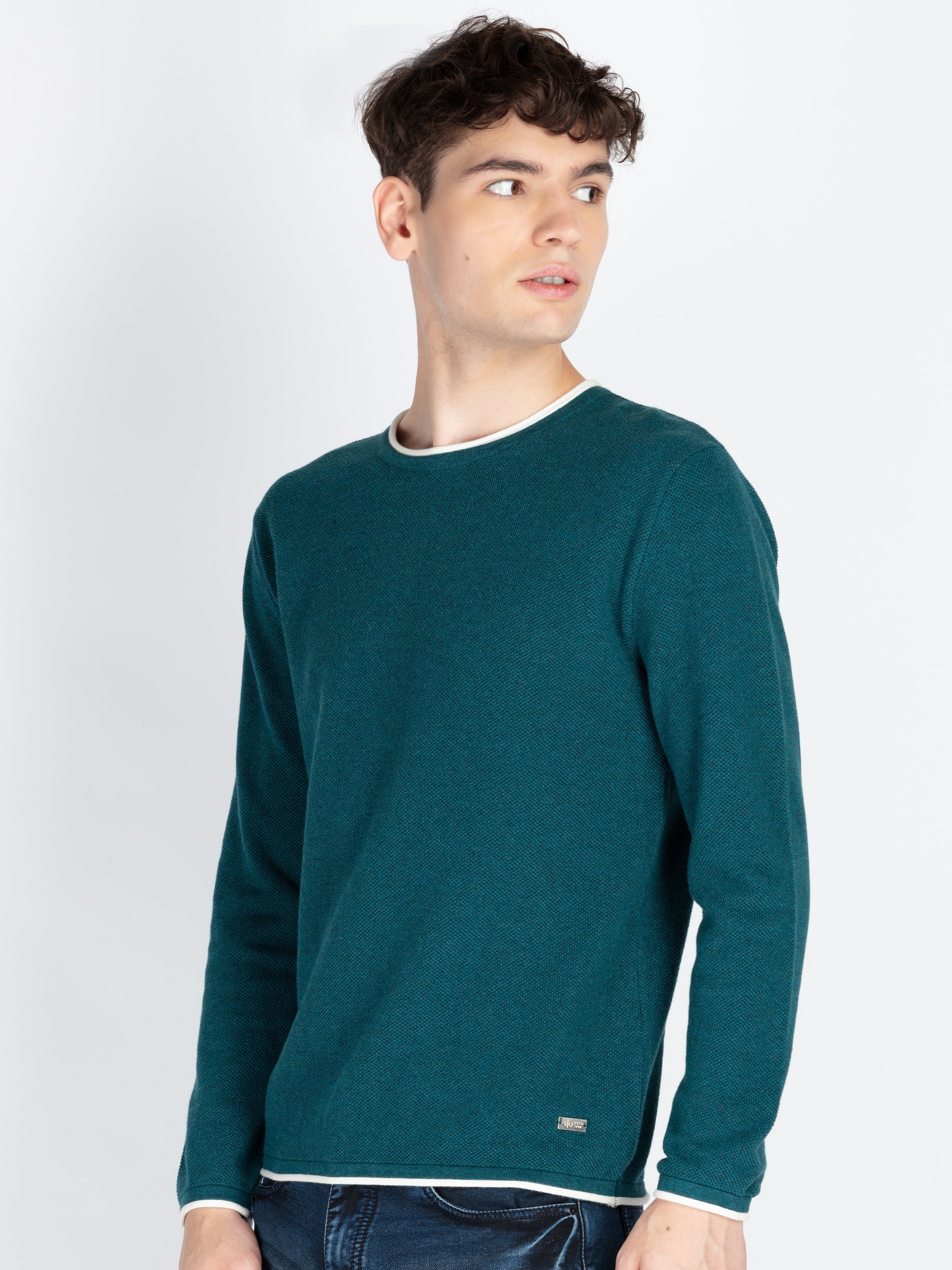 Mens Textured Sweater Secondary image