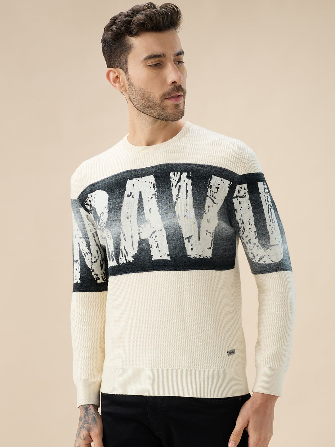 Men's Typography Print Round Neck Full Sleeve Regular Fit Sweater Secondary image