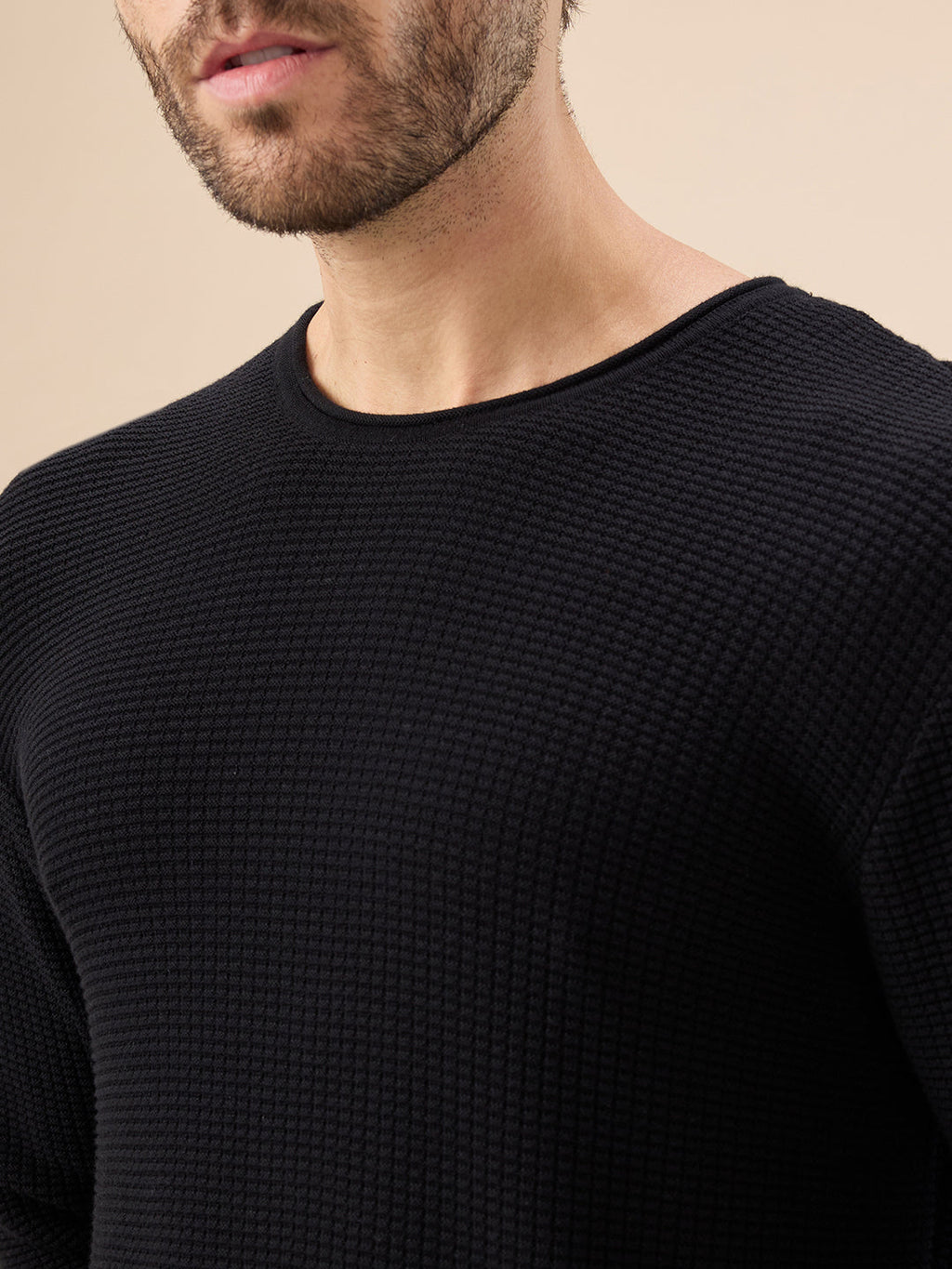 Men's Basic Solid Textured Full Sleeves Round Neck Sweater