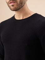 Men's Basic Solid Textured Full Sleeves Round Neck Sweater