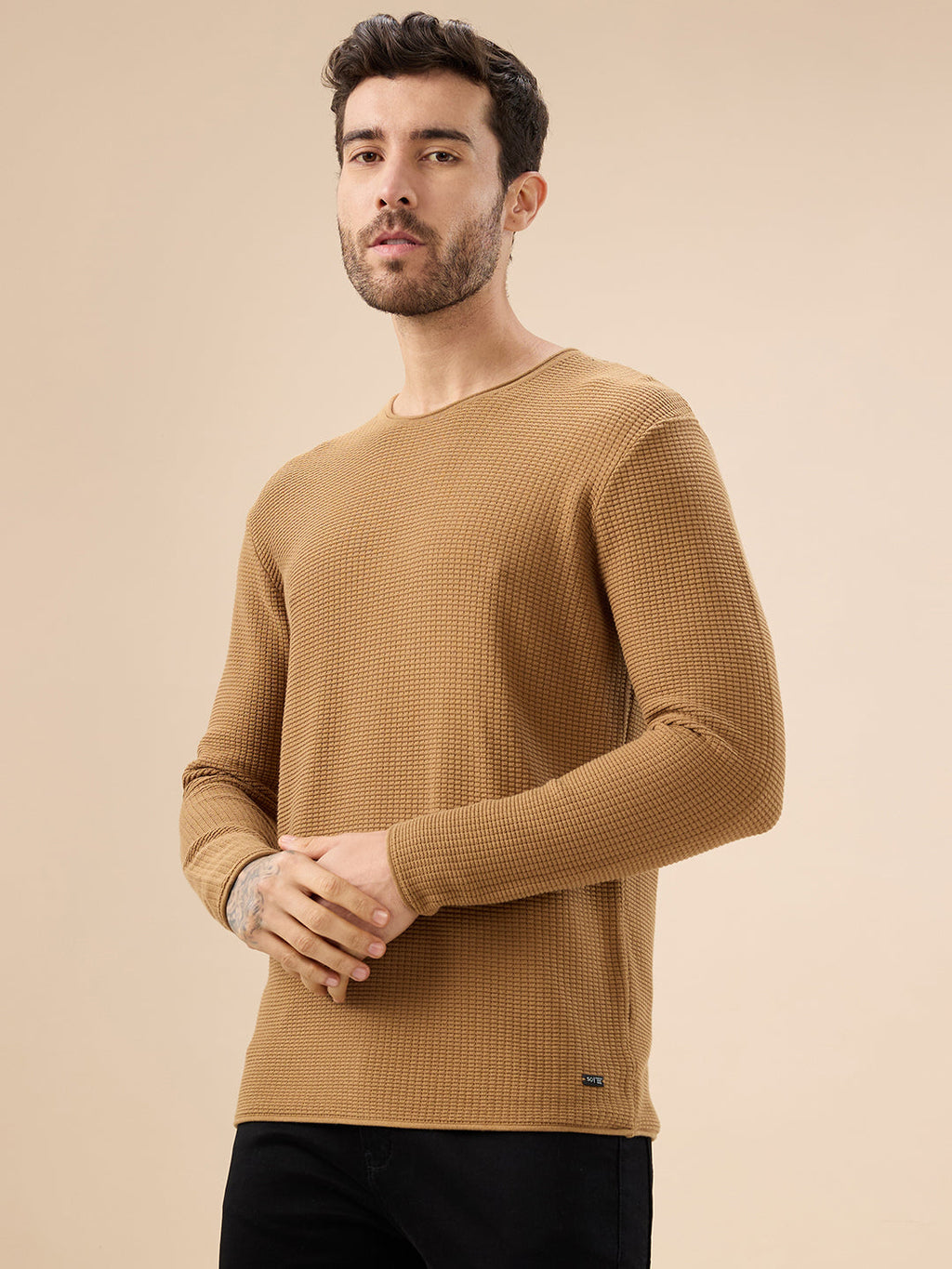 Mens Basic Solid Textured Full Sleeves Round Neck Sweater
