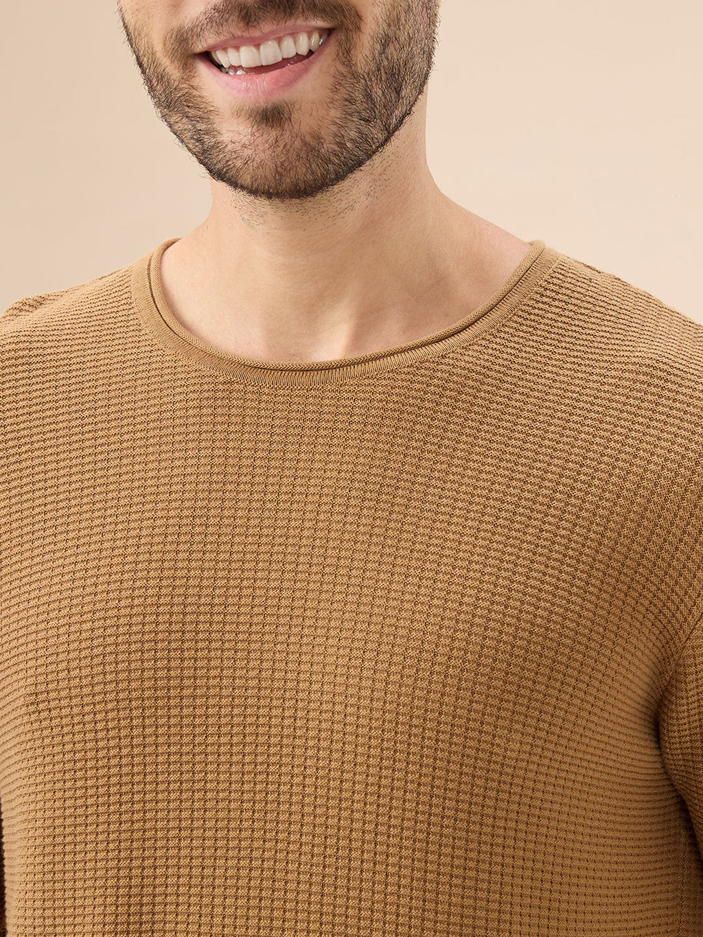 Mens Basic Solid Textured Full Sleeves Round Neck Sweater