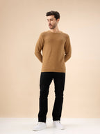 Mens Basic Solid Textured Full Sleeves Round Neck Sweater