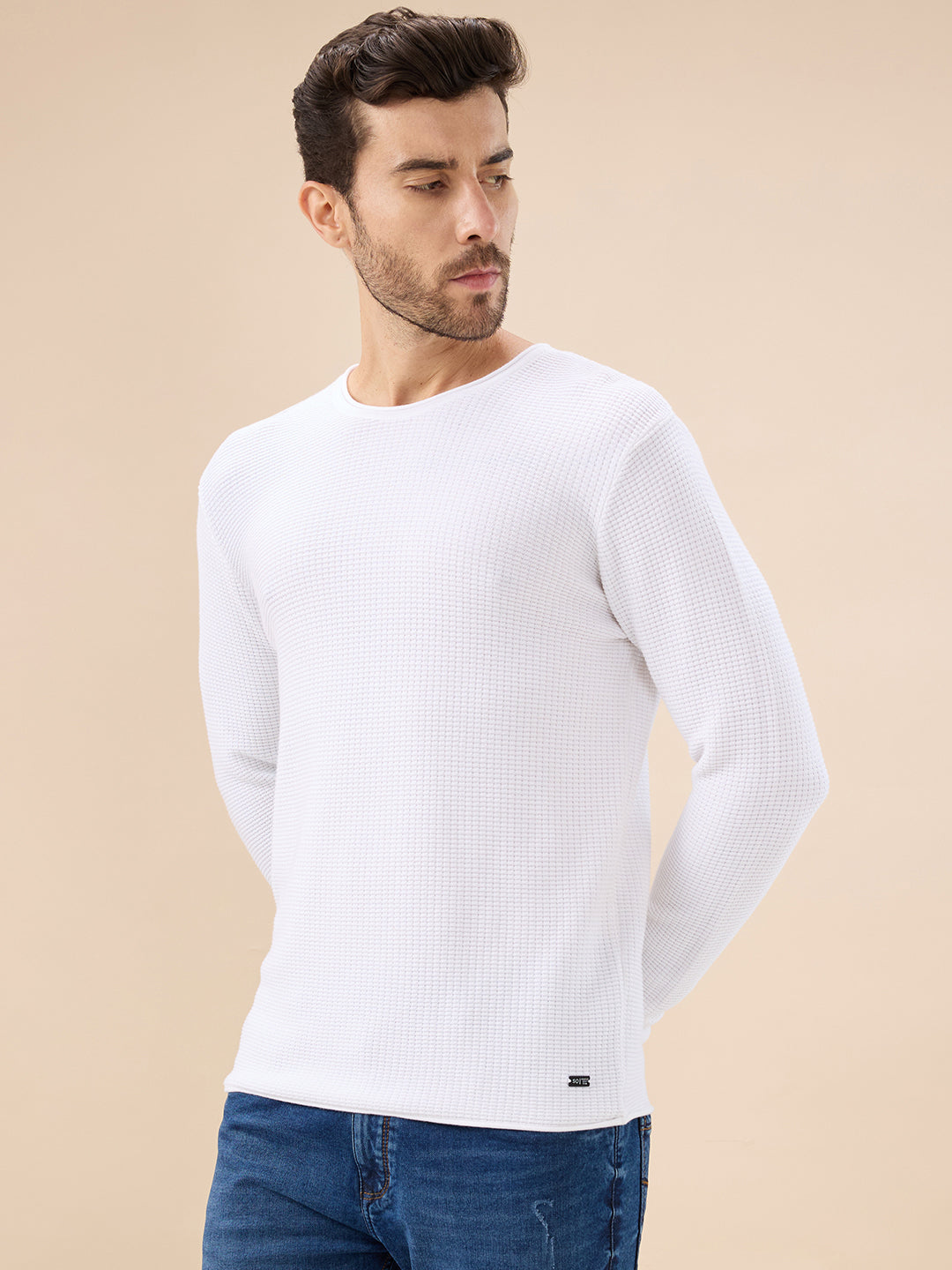 Men's Basic Solid Textured Full Sleeves Round Neck Sweater