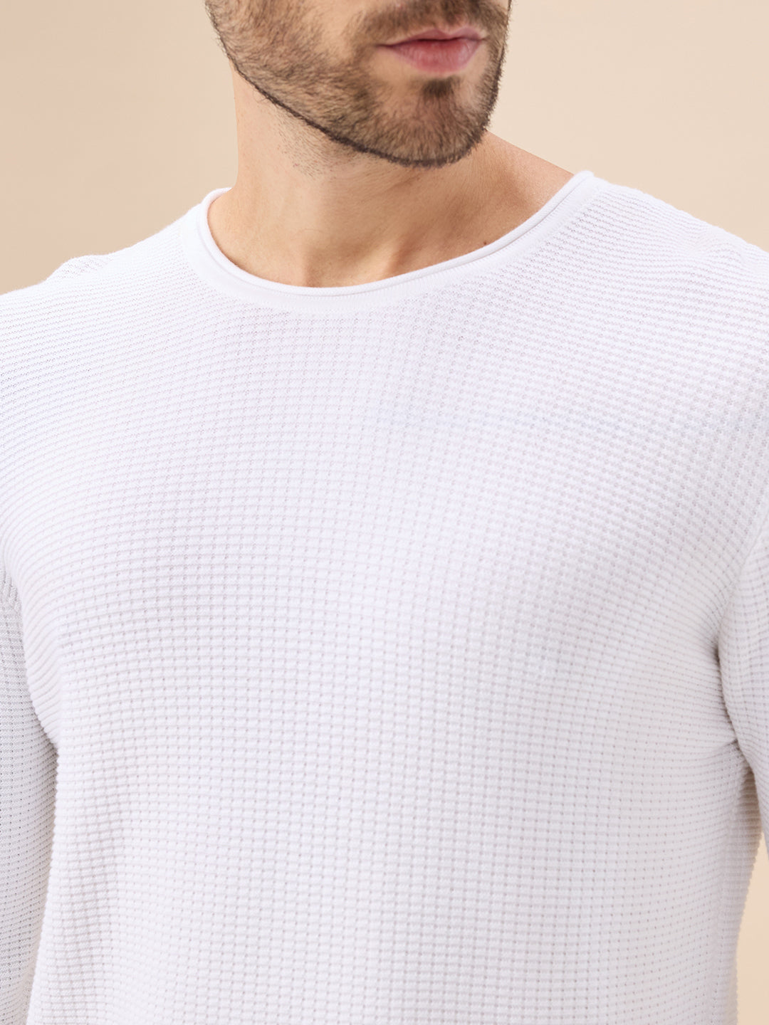 Men's Basic Solid Textured Full Sleeves Round Neck Sweater