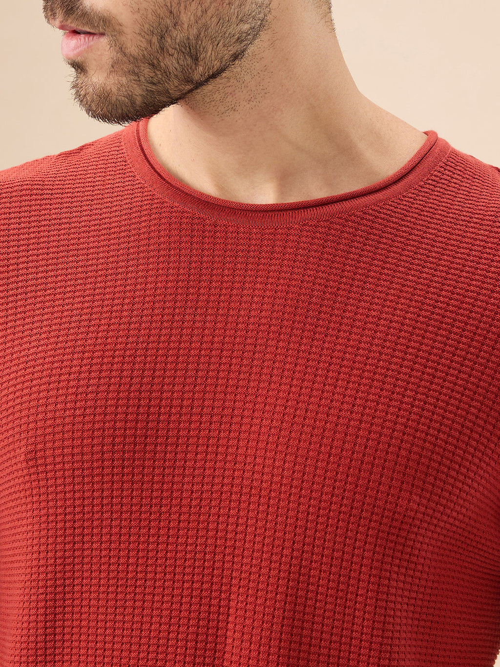 Mens Basic Solid Textured Full Sleeves Round Neck Sweater