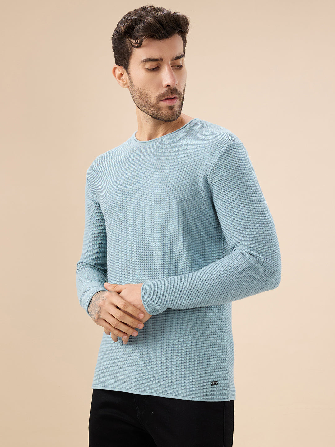 Men's Basic Solid Textured Full Sleeves Round Neck Sweater