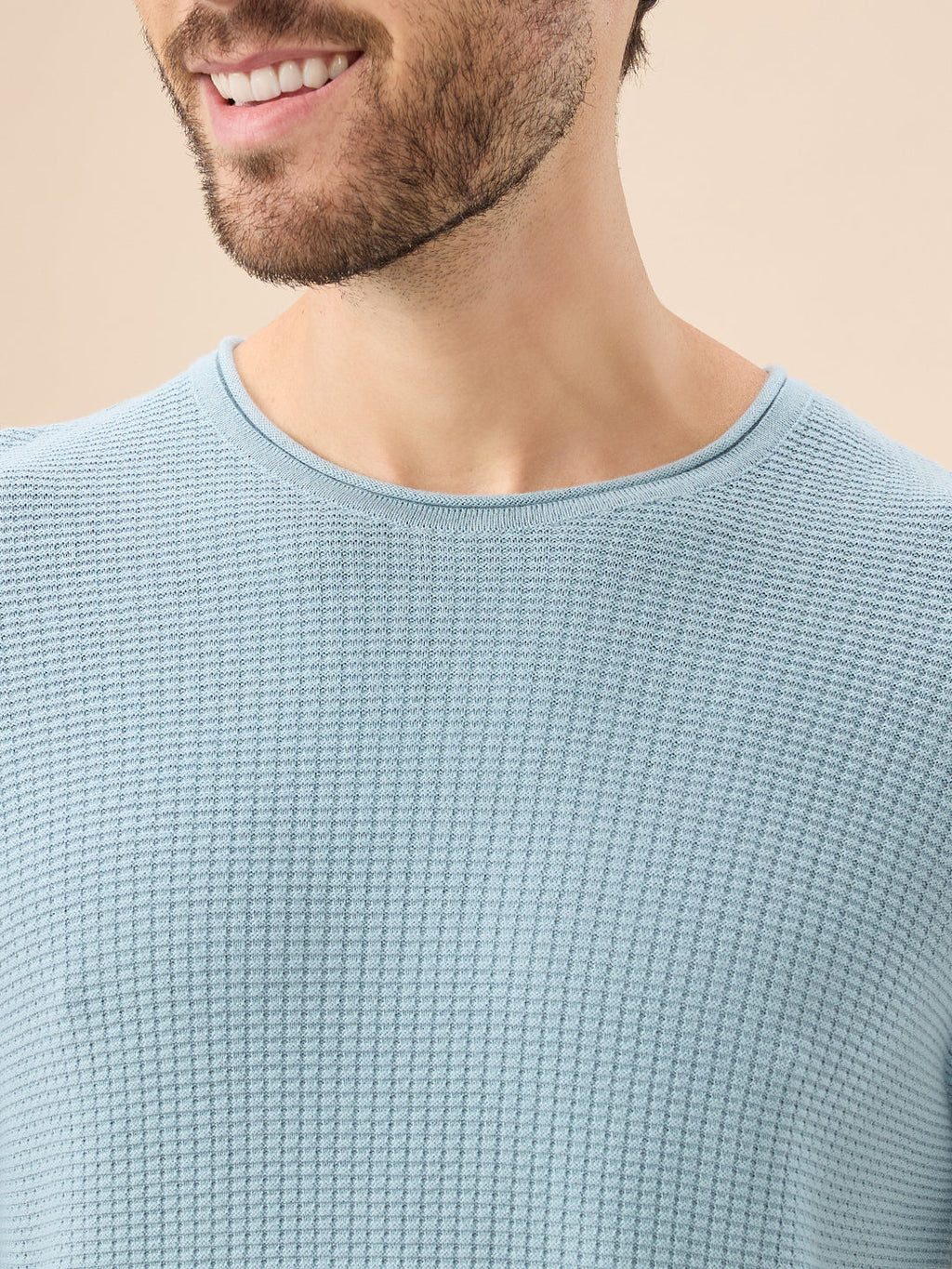 Men's Basic Solid Textured Full Sleeves Round Neck Sweater