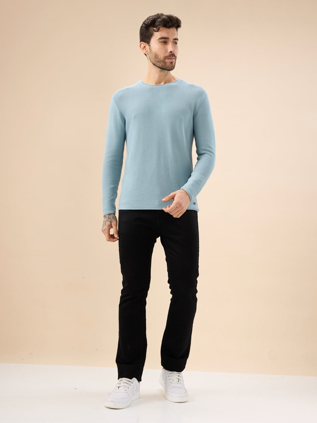 Men's Basic Solid Textured Full Sleeves Round Neck Sweater