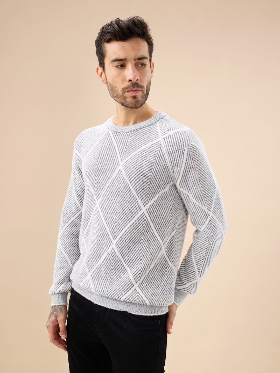 Men's All Over Geometric Textured Full Sleeves Round Neck Sweater Secondary image