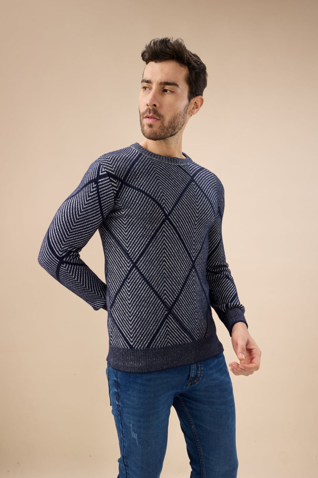 Men's All Over Geometric Textured Full Sleeves Round Neck Sweater