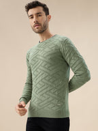 Men's Solid Geometric Textured Round Neck Full Sleeve Regular Fit Sweater