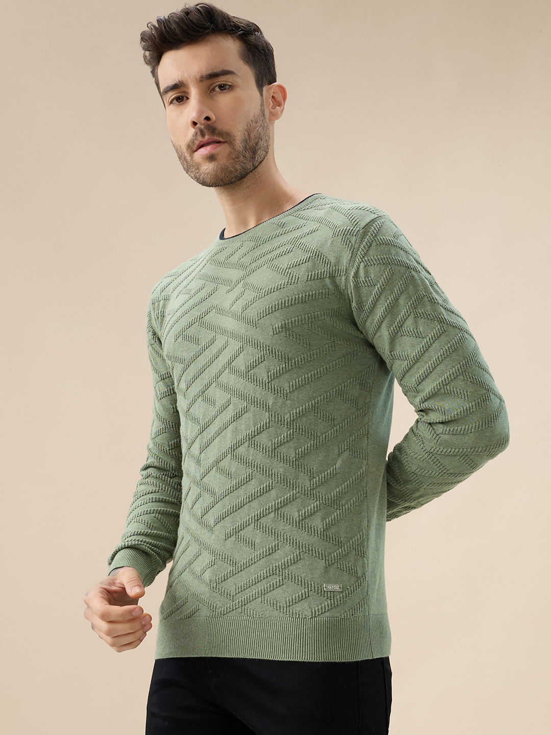 Men's Solid Geometric Textured Round Neck Full Sleeve Regular Fit Sweater Secondary image
