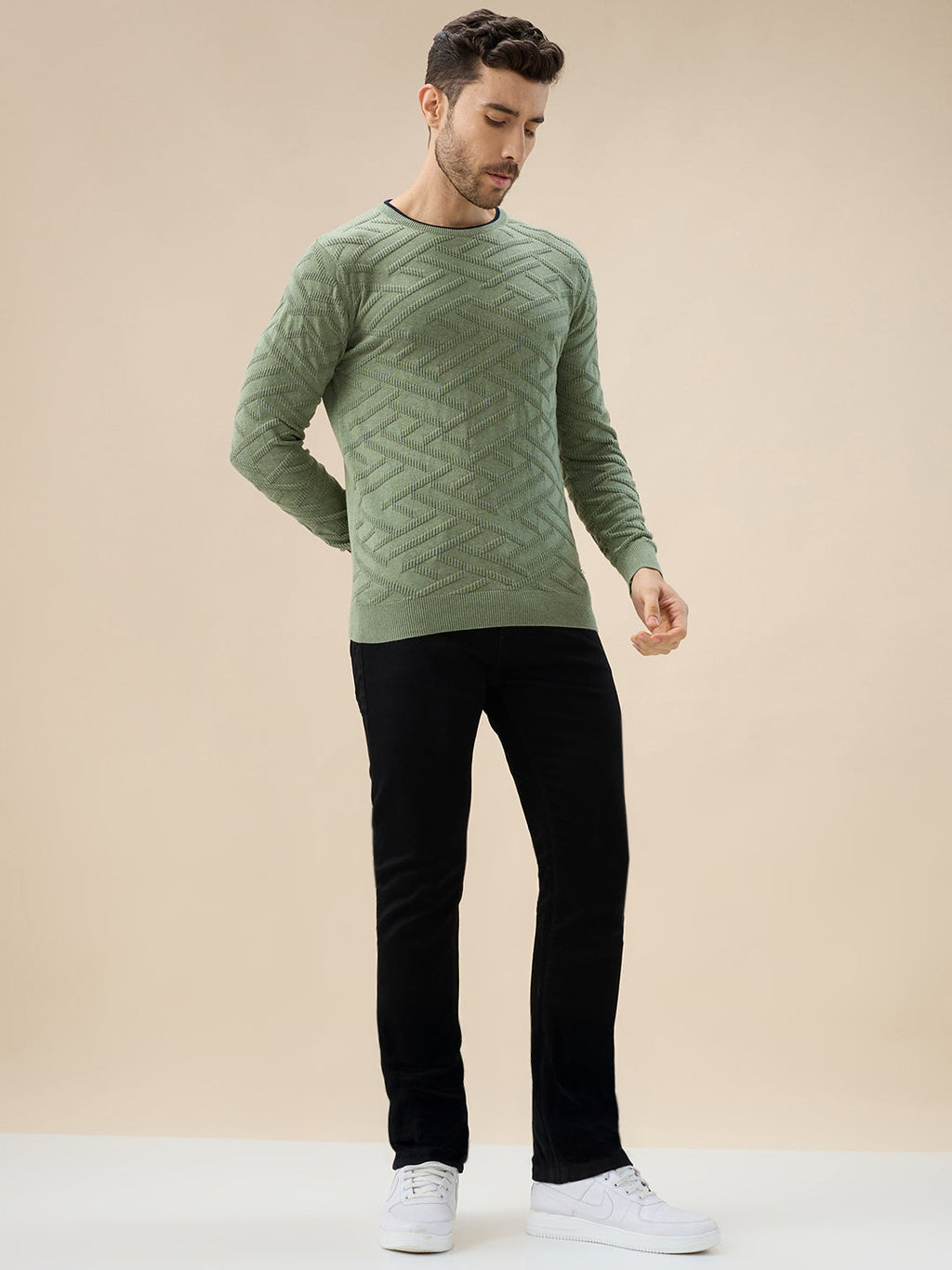 Men's Solid Geometric Textured Round Neck Full Sleeve Regular Fit Sweater