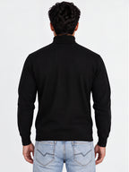 Men's Solid Regular Fit Turtle Neck Full Sleeve Sweater