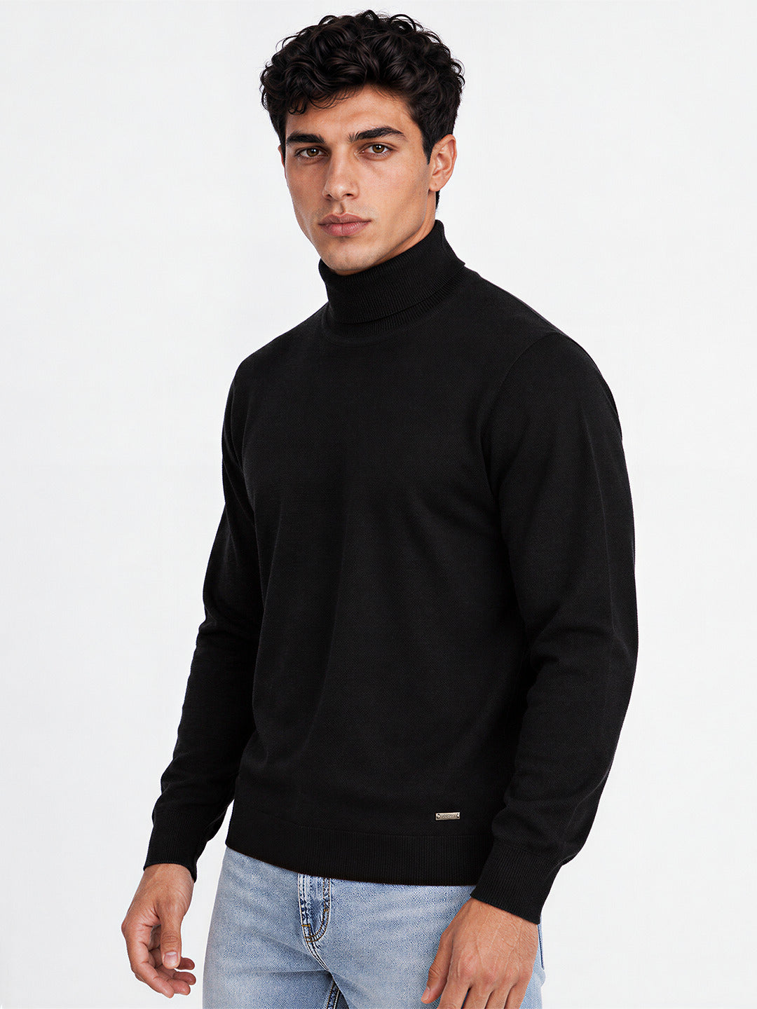 Men's Solid Regular Fit Turtle Neck Full Sleeve Sweater