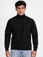 Men's Solid Regular Fit Turtle Neck Full Sleeve Sweater
