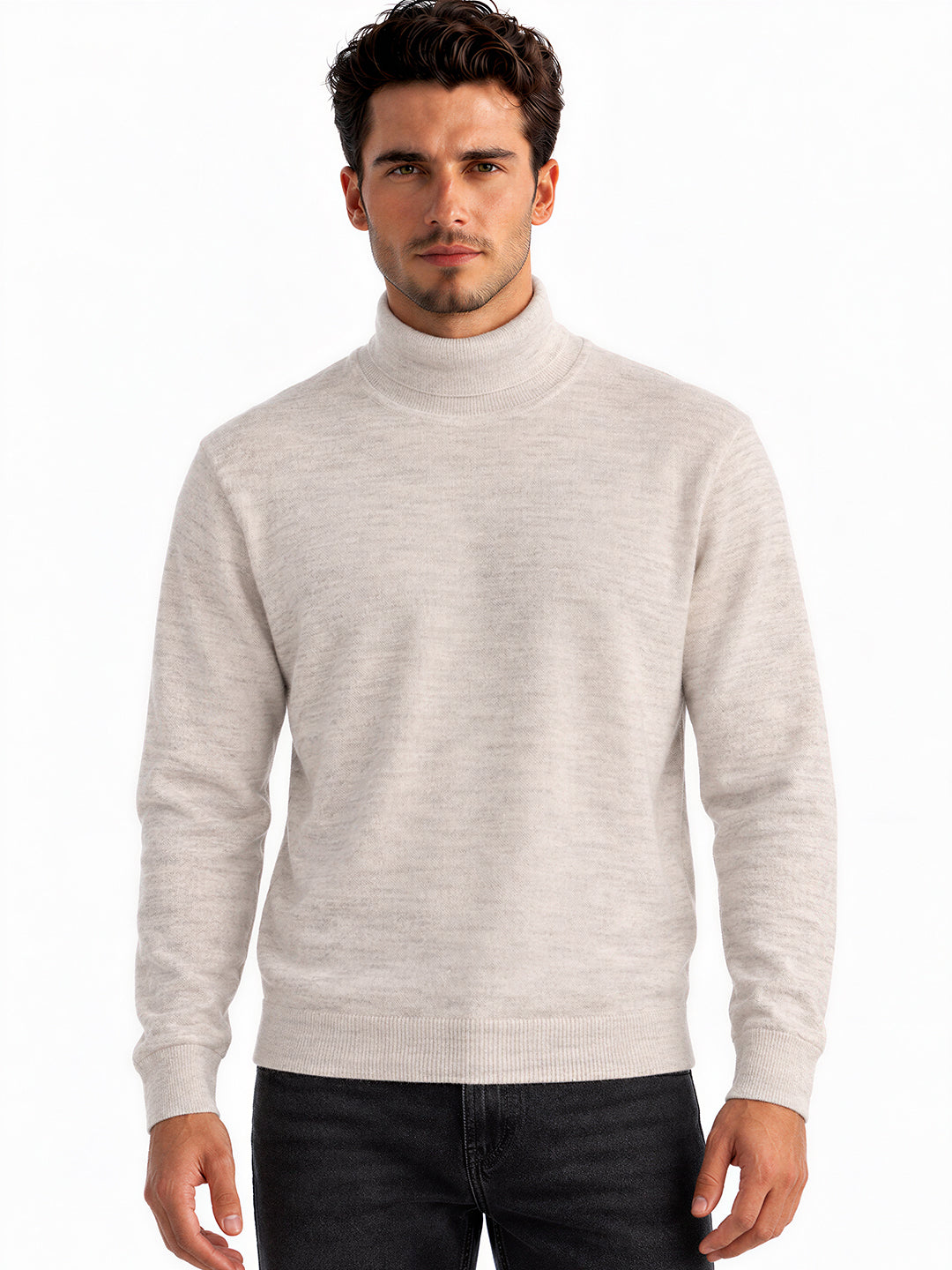 Men's Cotton Blend Turtle Neck Regular Fit Sweater