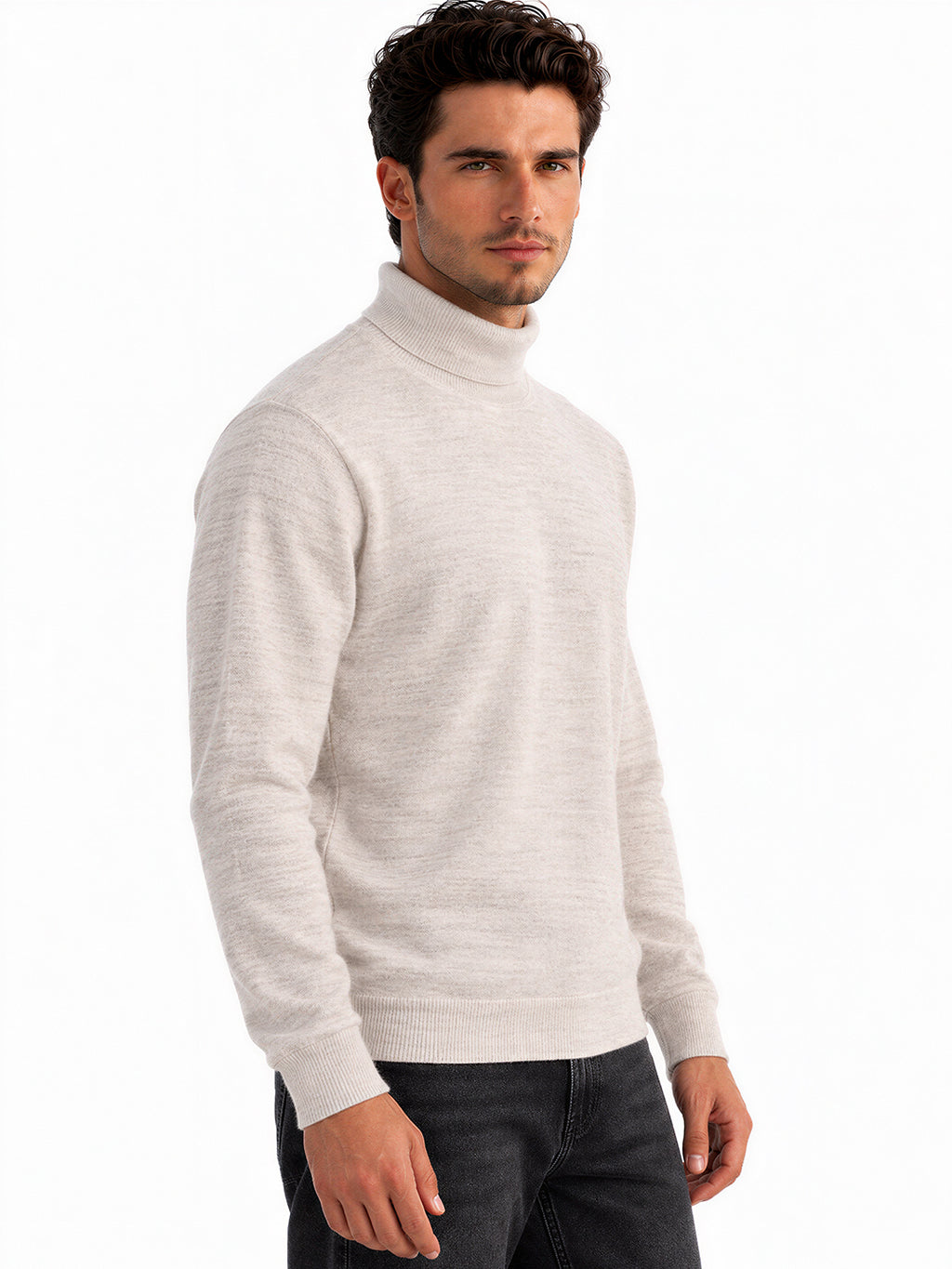 Men's Cotton Blend Turtle Neck Regular Fit Sweater