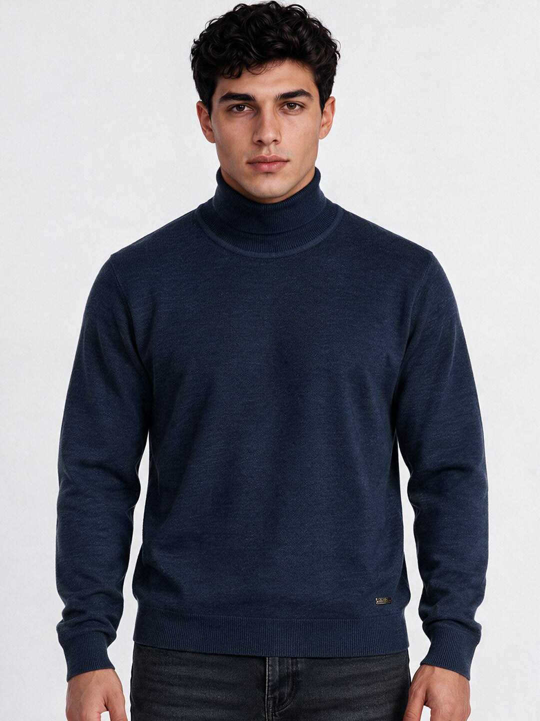 Men's Cotton Blend Turtle Neck Regular Fit Sweater