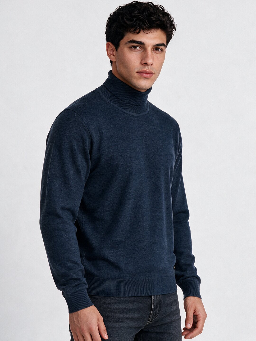 Men's Cotton Blend Turtle Neck Regular Fit Sweater
