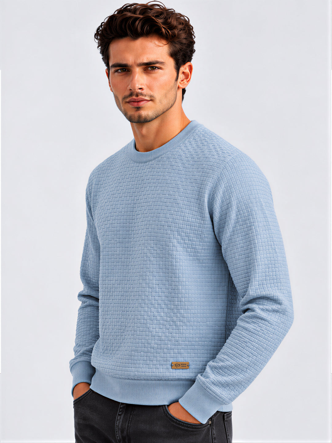Men's 100% Cotton Textured Regular Fit  Sweater Secondary image