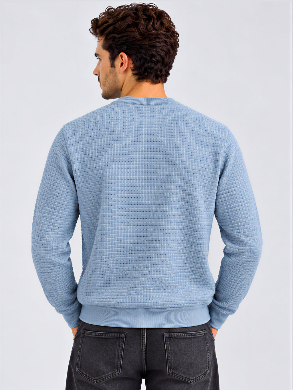 Men's 100% Cotton Textured Regular Fit  Sweater