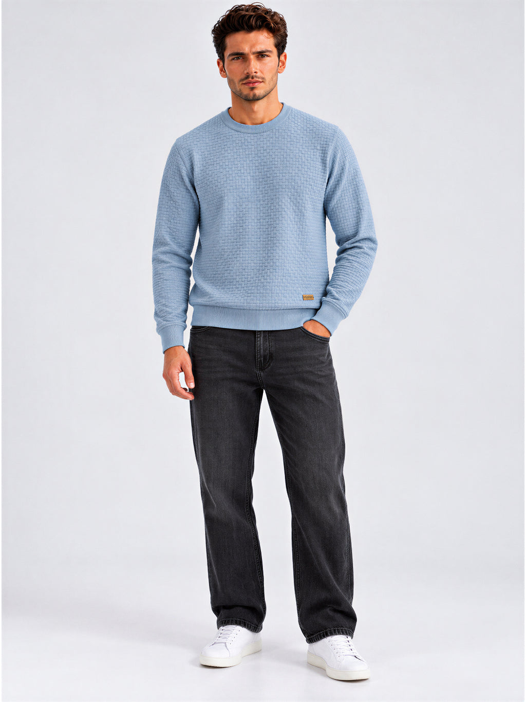 Men's 100% Cotton Textured Regular Fit  Sweater