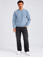 Men's 100% Cotton Textured Regular Fit  Sweater