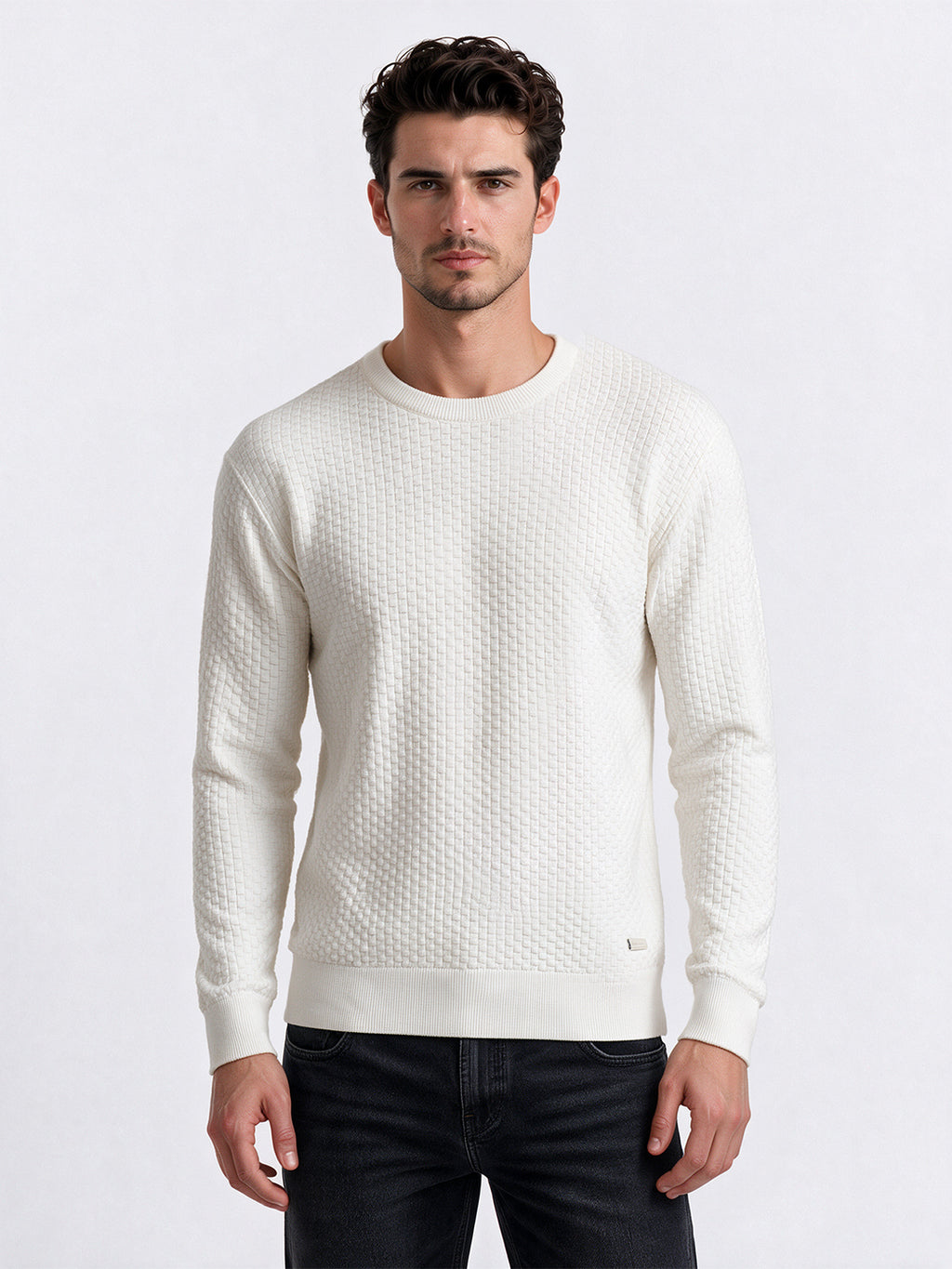 Men's 100% Cotton Self Design Round Neck Long Sleeve Sweater